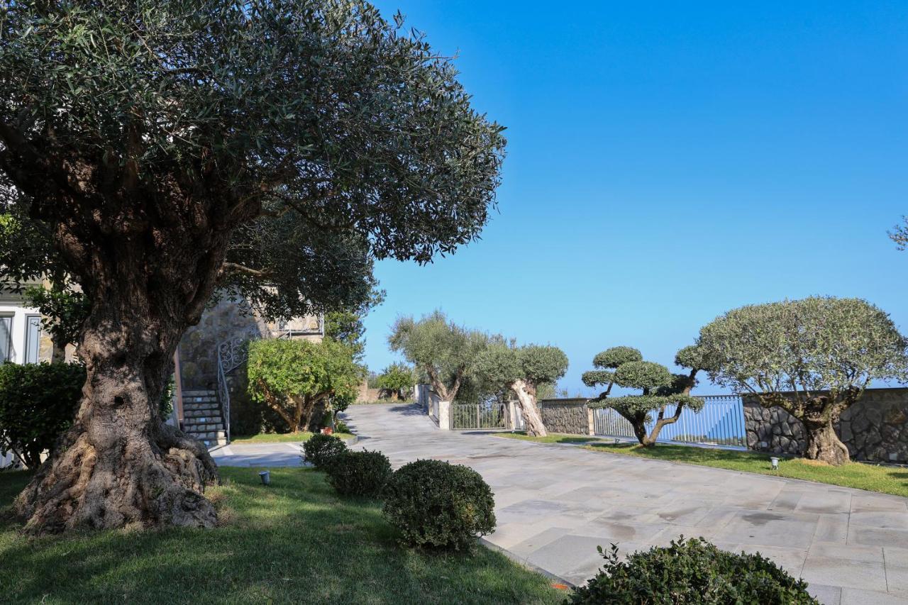 Villa Italia Sorrento Termini Exterior photo