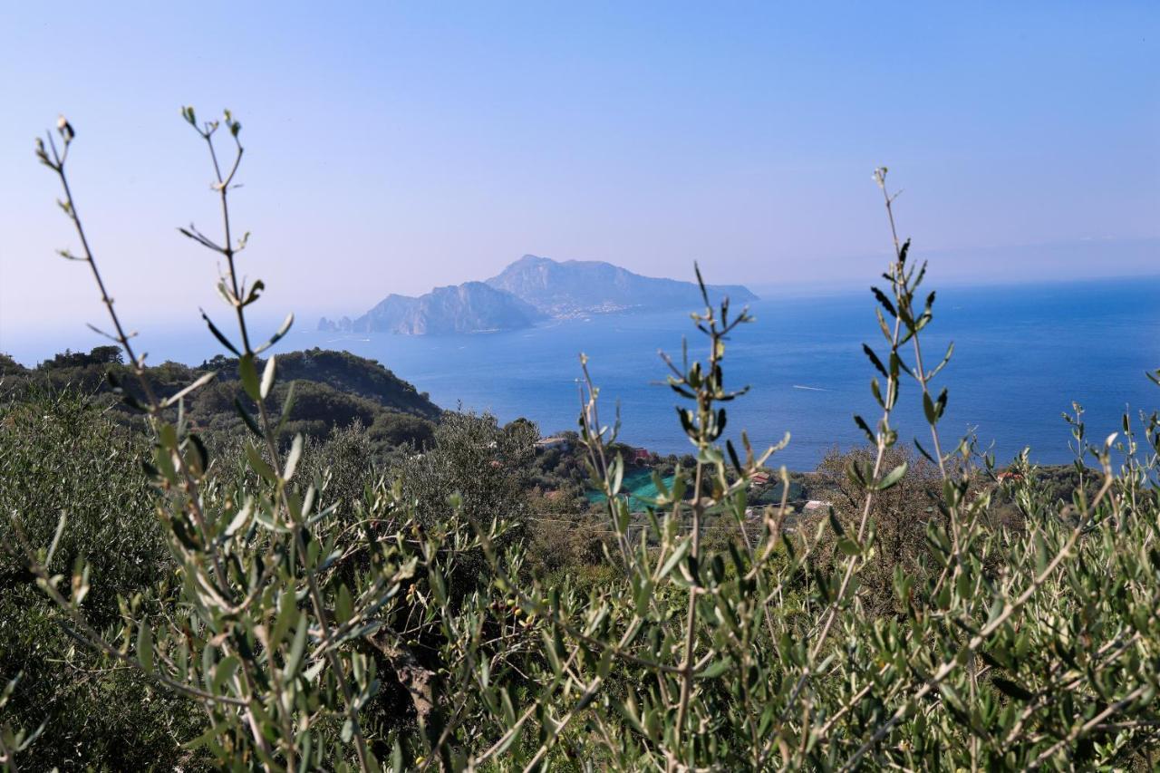 Villa Italia Sorrento Termini Exterior photo